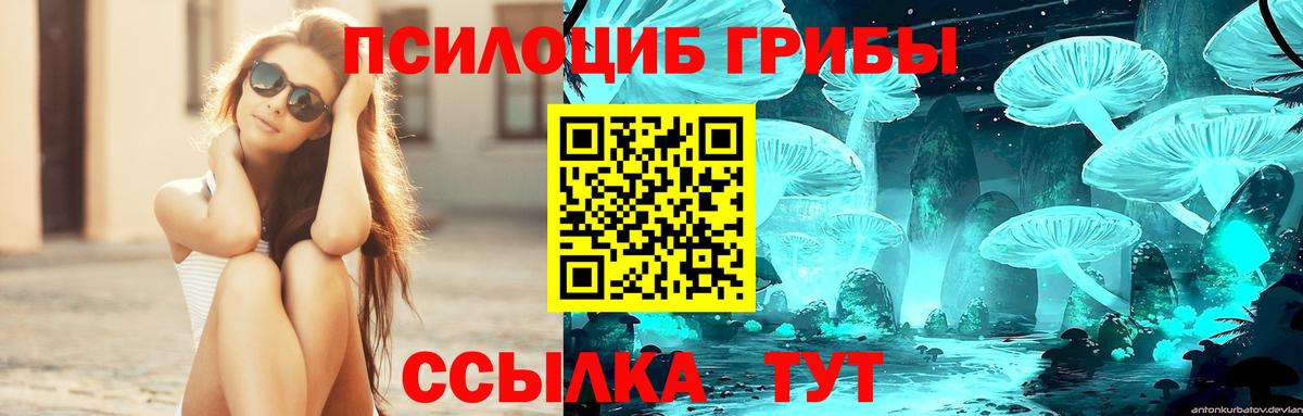 Галлюциногенные грибы Magic Shrooms  Вход с VPN  Углич  Галлюциногенные грибы Cubensis 